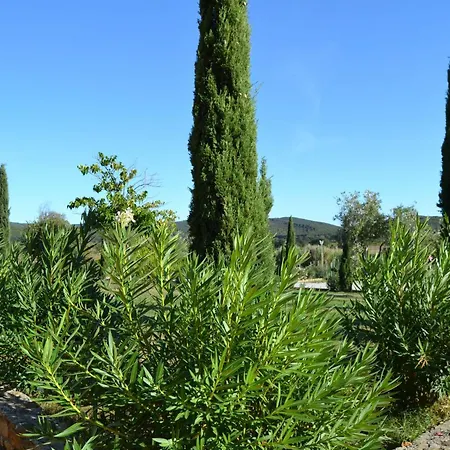 Mit Garten In